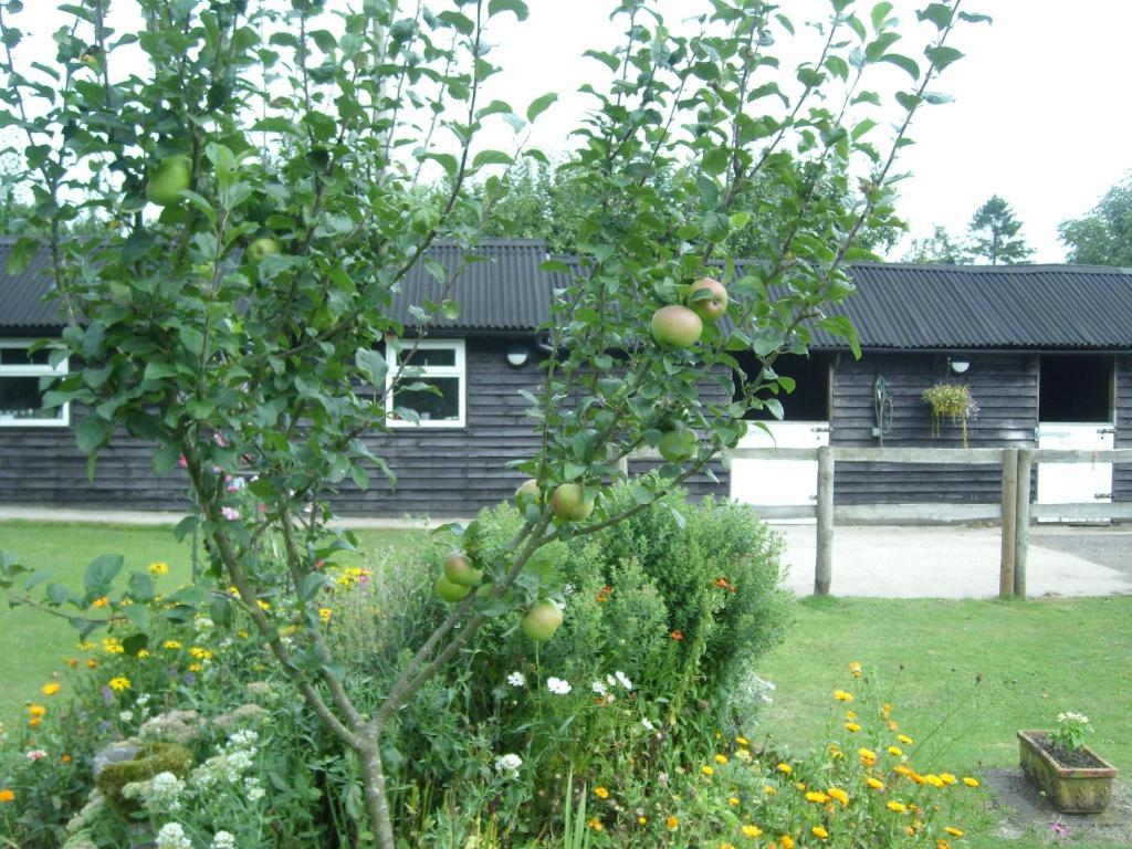 Heathwood Lodge Stelling Exterior foto